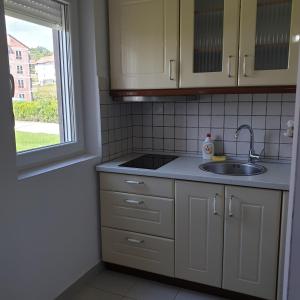 Кухня или мини-кухня в Lux Apartman Ristić 1
