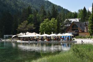Foto dalla galleria di Hiša ob jezeru - House by the Lake a Kranjska Gora