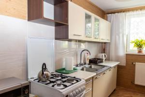 a kitchen with a stove and a sink at U Ganca in Krajno Pierwsze