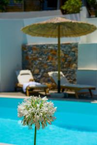 Bazén v ubytovaní Pakio Luxury Villa : Private Cretan Holidays alebo v jeho blízkosti