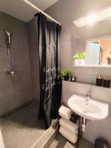 uma casa de banho com um chuveiro e um lavatório. em Apartman Panorama Park & Free Parking em Žilina