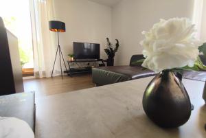 A television and/or entertainment centre at Apartman Panorama Park & Free Parking