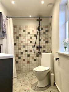 ein Bad mit einem WC und einer Dusche in der Unterkunft Askes Oase Guest Apartment in Fjællebroen