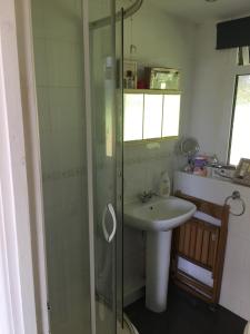 ein Badezimmer mit Waschbecken und Glasdusche in der Unterkunft Riviera in Dartmouth