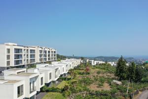 Gallery image of Velum Resort in Seogwipo