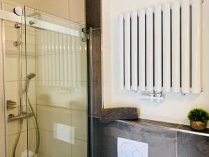 ein Bad mit einer Dusche und einer Glasduschkabine in der Unterkunft Ferienapartment HarzZeit in Wernigerode