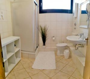 a bathroom with a sink and a toilet and a shower at Mira in Winterberg