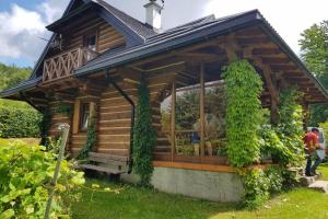 uma cabina de madeira com uma grande janela e videiras em Wapienne domek em Sękowa