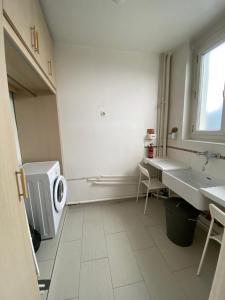 a bathroom with a sink and a washing machine at Elegant Duplex de Haut Standing de 230m2 in La Roche-sur-Foron +36 photos