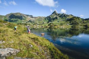 dwoje ludzi i pies stojący na wzgórzu obok jeziora w obiekcie Appartementhaus Christophorus w mieście Obertauern