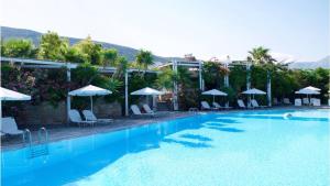 a large swimming pool with chairs and umbrellas at Hotel Plakures in Falasarna
