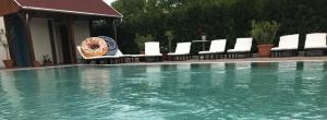 a pool of water with chairs and a pizza on it at Meggyes Hotel in Szerencs