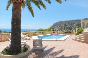 a palm tree sitting next to a swimming pool at Casa Sueño in Calpe