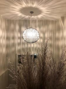 uma luz pendurada num tecto com uma planta em Les chambres Berguoises Superbe Chambre au coeur de Bergues em Bergues