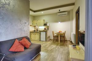 Mimoza Old Town Pula Apartments في بولا: غرفة معيشة مع أريكة ومطبخ
