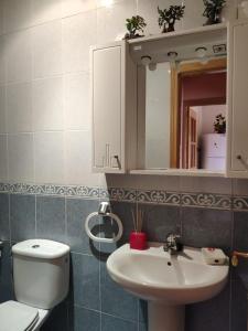 La salle de bains est pourvue de toilettes, d'un lavabo et d'un miroir. dans l'établissement CASA LOS ABUELOS, à Navalmoral