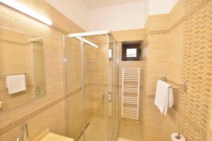 W łazience znajduje się prysznic i przeszklona kabina prysznicowa. w obiekcie AMADEUS RESIDENCE w Bukareszcie