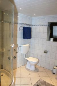 a bathroom with a toilet and a glass shower at Ferienwohnung Bahnsen in Lügde