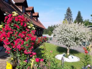 Zahrada ubytování Gästehaus Zur schönen Aussicht
