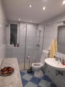 a bathroom with a toilet and a sink and a shower at Hiša Pepi in Ajdovščina