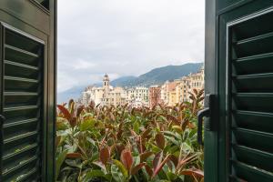 a view of a city with buildings and plants at Sublimis Boutique Hotel Adults-Only in Camogli