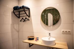 W łazience znajduje się umywalka i lustro. w obiekcie Natuur lodge w mieście Blesdijke