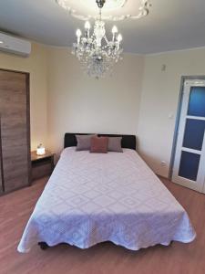 Imagine din galeria proprietății Magic Holiday Vendégház în Hajdúszoboszló