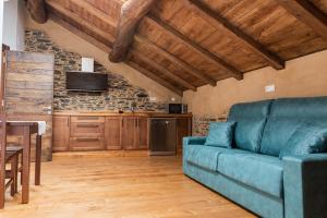 TV a/nebo společenská místnost v ubytování Apartamentos Rurales Casa Llongo