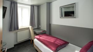 TV a/nebo společenská místnost v ubytování Hotel Zur Post