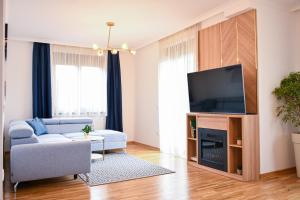 - un salon avec un canapé et une télévision dans l'établissement NIDEHO Estate Apartmani, à Zlatibor