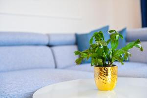 صورة لـ NIDEHO Estate Apartmani في زلاتيبور