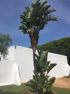 Zahrada ubytování Casas La Pequeña Lulu