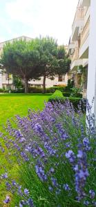 a field of purple flowers in front of a building at MAISONETTES in Royal Bay Residence and SPA in Sveti Vlas