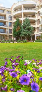 a field of purple flowers in front of a building at MAISONETTES in Royal Bay Residence and SPA in Sveti Vlas