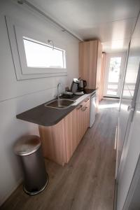 uma pequena cozinha com um lavatório e um balcão em Blackbird em Biddinghuizen