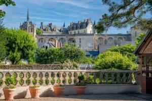 a fence in front of a castle with potted plants at Le Clos Richelieu in Amboise