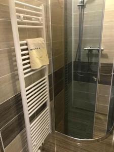 a shower with a glass door and a towel at Pension Berten Strašice in Strašice