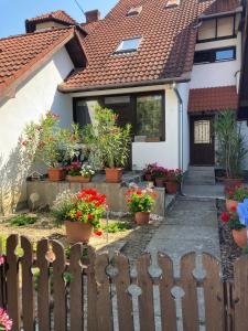 A garden outside Kiscsillag apartman