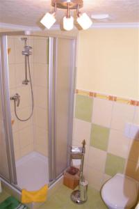 łazienka z prysznicem i toaletą w obiekcie Zimmervermietung Leuba w mieście Ostritz