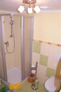 a bathroom with a shower and a toilet at Zimmervermietung Leuba in Ostritz +6 photos