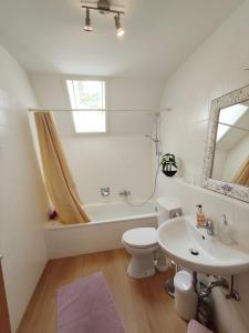 łazienka z umywalką, toaletą i wanną w obiekcie Black Forest Living - Todtnauberg w mieście Ennerbach