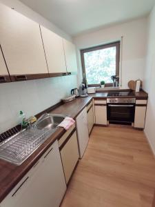 Una cocina o zona de cocina en Black Forest Living - Todtnauberg