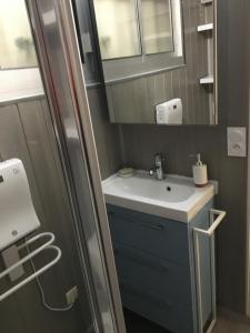 a bathroom with a sink and a mirror at Joli petit appartement au calme, refait à neuf, avec linge de maison fourni in Cauterets