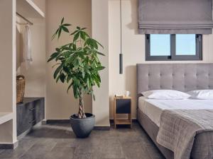 Errikos Family Villa في Áyios Kírikos: غرفة نوم مع نباتات الفخار الكبيرة بجوار سرير
