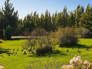 Um jardim em Cabañas Normana Inn