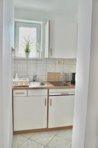 Kuchyňa alebo kuchynka v ubytovaní Apartments Bacak