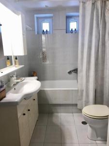 a bathroom with a sink and a toilet and a shower at Villa Amalaya in Flampouria
