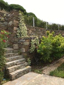 Gallery image of Villa Amalaya in Flampouria