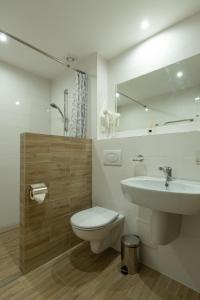 ein Badezimmer mit einem Waschbecken, einem WC und einem Spiegel in der Unterkunft Senasis Nemunas in Druskininkai