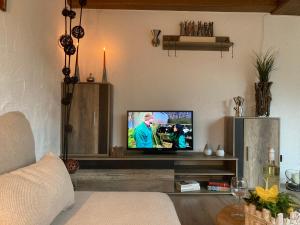 a living room with a flat screen tv on a shelf at Ferienwohnung Dünnebacke in Schmallenberg